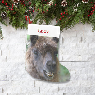 パーソナライズなペットラマの恋人の所有者の写真及び名前 スモールクリスマスストッキング