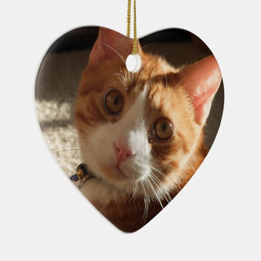 パーソナライズなペット写真のハートのオーナメント セラミックオーナメント (右)