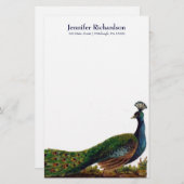 パーソナライズなヴィンテージの孔雀の文房具 便箋 (正面/裏面)