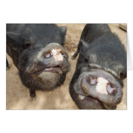 パーソナライズな二重鼻の黒の小型ブタ