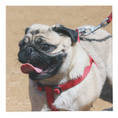 パーソナライズな犬の記念物 フォトキューブ (右)