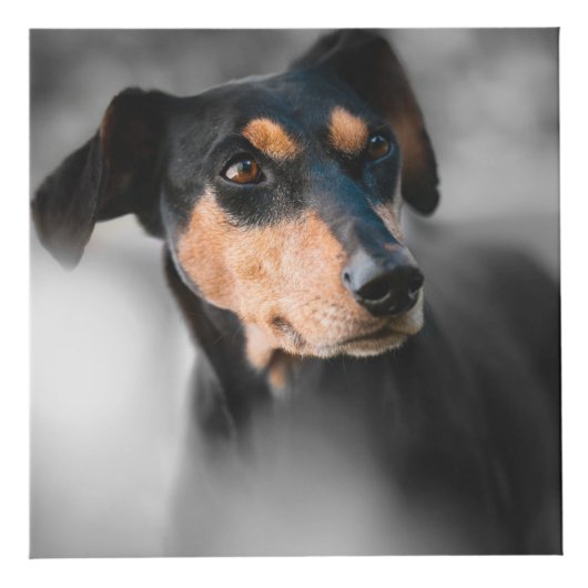 パーソナライズな犬の記念物 フォトキューブ (右)