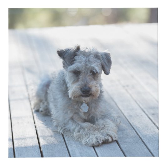 パーソナライズな犬の記念物 フォトキューブ (右)