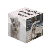 パーソナライズな犬の記念物 フォトキューブ (裏面アングル)