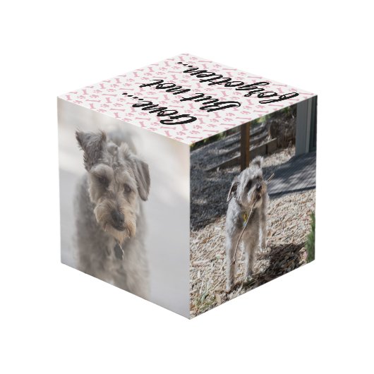 パーソナライズな犬の記念物 フォトキューブ (裏面アングル)