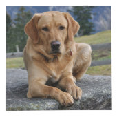 パーソナライズな犬の記念物 フォトキューブ (右)