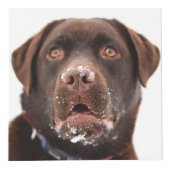 パーソナライズな犬の記念物 フォトキューブ (右)