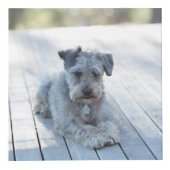 パーソナライズな犬の記念物 フォトキューブ (右)