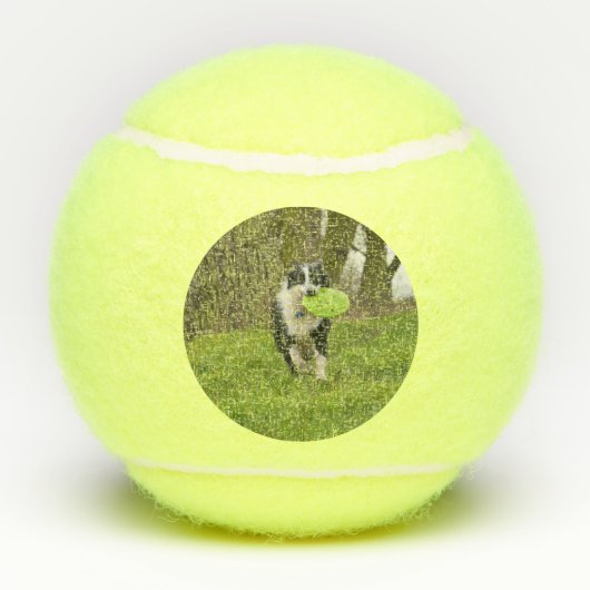 パーソナライズハロウィーンフランケンウォークおもしろい犬 テニスボール (裏面)