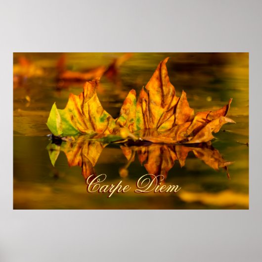 パーソナライズ可能なカルペディエムとカラフルリーフポステ ポスター (正面)