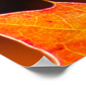 パーソナライズ可能なカルペディエムとカラフルリーフポステ ポスター (角)