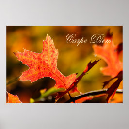 パーソナライズ可能なカルペディエムとカラフルリーフポステ ポスター