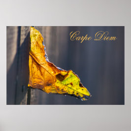 パーソナライズ可能なカルペディエムとカラフルリーフポステ ポスター