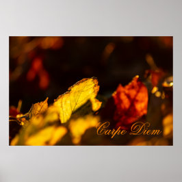 パーソナライズ可能なカルペディエムとカラフルリーフポステ ポスター