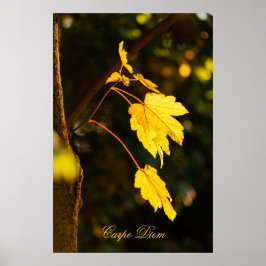 パーソナライズ可能なカルペディエムとカラフルリーフポステ ポスター