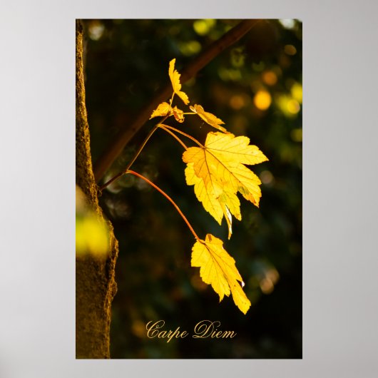 パーソナライズ可能なカルペディエムとカラフルリーフポステ ポスター (正面)