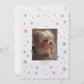 パーソナライズ！四方八方に光る (裏面)