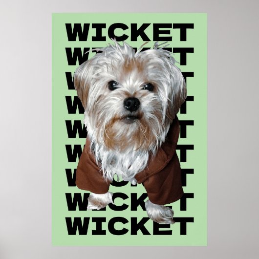 パーソナライズ！MINTペットの写真と名前リピート ポスター (正面)