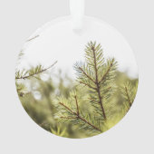 パーソナライズHeartsAcrylicの私達のオーナメントの誰か オーナメント (裏面)