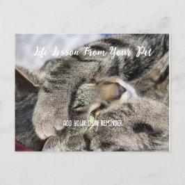 パーソナルなペットライフレッスン シーズンポストカード