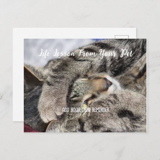 パーソナルなペットライフレッスン シーズンポストカード (正面/裏面)