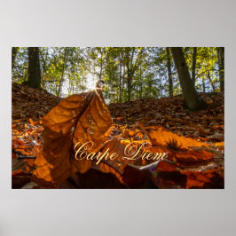 パーソナルカーペディエム光沢のある葉カラフル林 ポスター