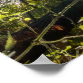 パーソナルカーペディエム光沢のある葉カラフル林 ポスター (角)