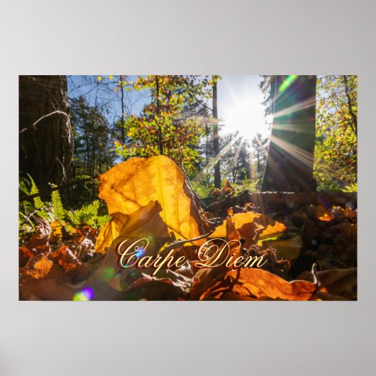 パーソナルカーペディエム光沢のある葉カラフル林 ポスター (正面)