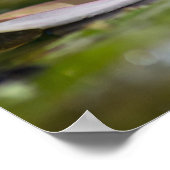 パーソナルカーペディエム白い水のユリの花 ポスター (角)