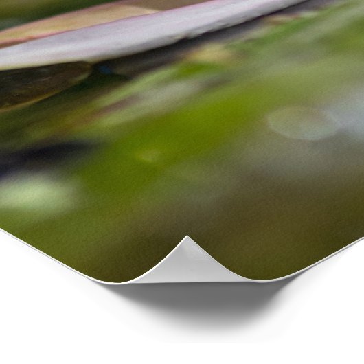 パーソナルカーペディエム白い水のユリの花 ポスター (角)