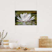 パーソナルカーペディエム白い水のユリの花 ポスター (キッチン)