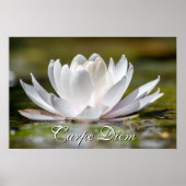 パーソナルカーペディエム白い水のユリの花 ポスター (正面)