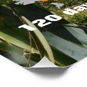 パーソナル化可能なTe Aroreaトレイル ポスター (コーナー)