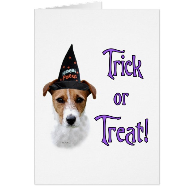 パーソンラッセルテリアトリック (正面)