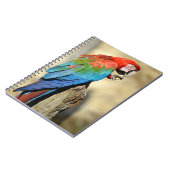 パーチの緑の翼のマカオ ノートブック (左側)