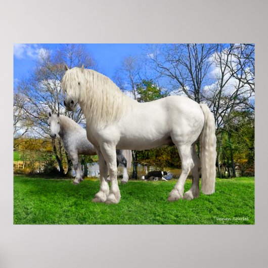 「パーチェロン人」 ポスター (正面)