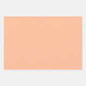 パーチファズ ミニマル トレンド カラー 花模様 ラッピングペーパーシート (正面2)