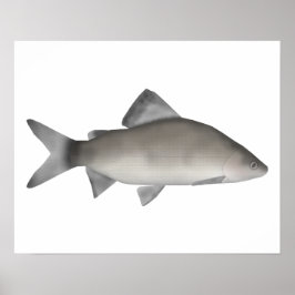 パーチ ポスター