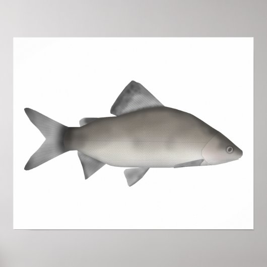 パーチ ポスター (正面)