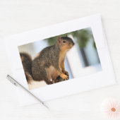 パーチ 長方形シール (封筒)