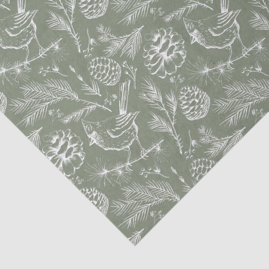 パーチ（鳥）ショウジョウコウカンチョウ、ピネコーンとウィンターベリーセージ 薄葉紙 (詳細)