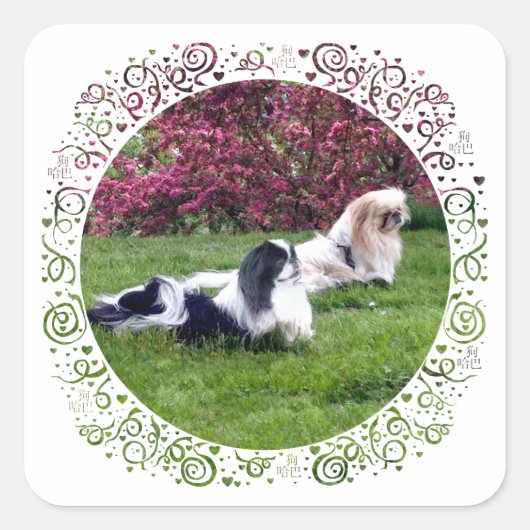 パーティカラー ペキニーズの犬 スクエアシール (正面)