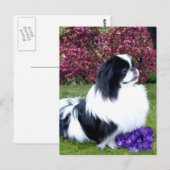 パーティカラー ペキニーズの犬 ポストカード (正面/裏面)