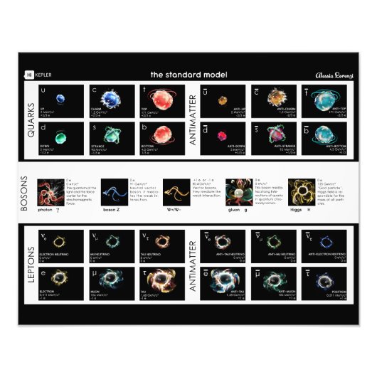 パーティクルの標準モデル フォトプリント (正面)