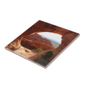 パーティションアーチatアーチズナショナルパーク タイル (側面)