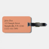 パーティションアーチatアーチズナショナルパーク ラゲッジタグ (裏面横)