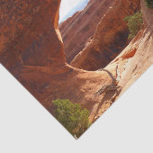 パーティションアーチatアーチズナショナルパーク 薄葉紙 (詳細)