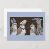 パーティーする水辺の鳥のポストカード ポストカード (正面/裏面)