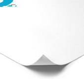 パーティーだ! ポスター (角)