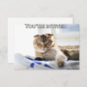 パーティーのためのかわいい猫の招待 招待状 (正面/裏面)